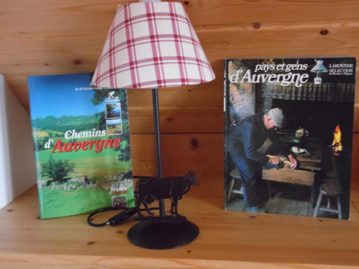 Chalet Des Clarines Saint-Genès-Champespe المظهر الخارجي الصورة